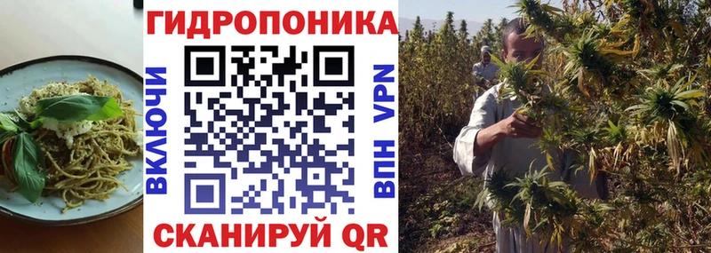 где можно купить наркотик  Рыбное  Canna-Cookies конопля 