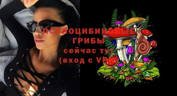 эйфоретик Осинники