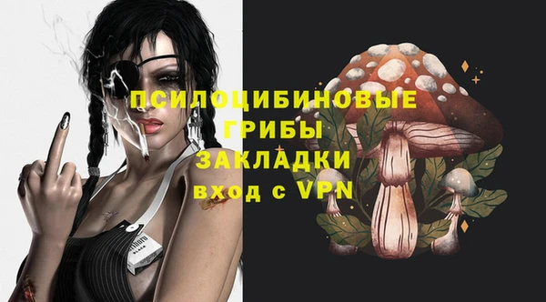 эйфоретик Осинники